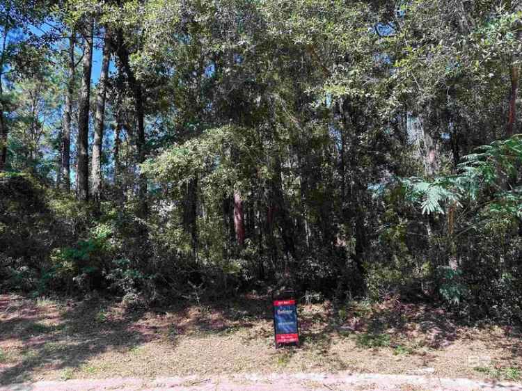 Buy Lots in Fairhope with Mature Trees Near Downtown and Parks