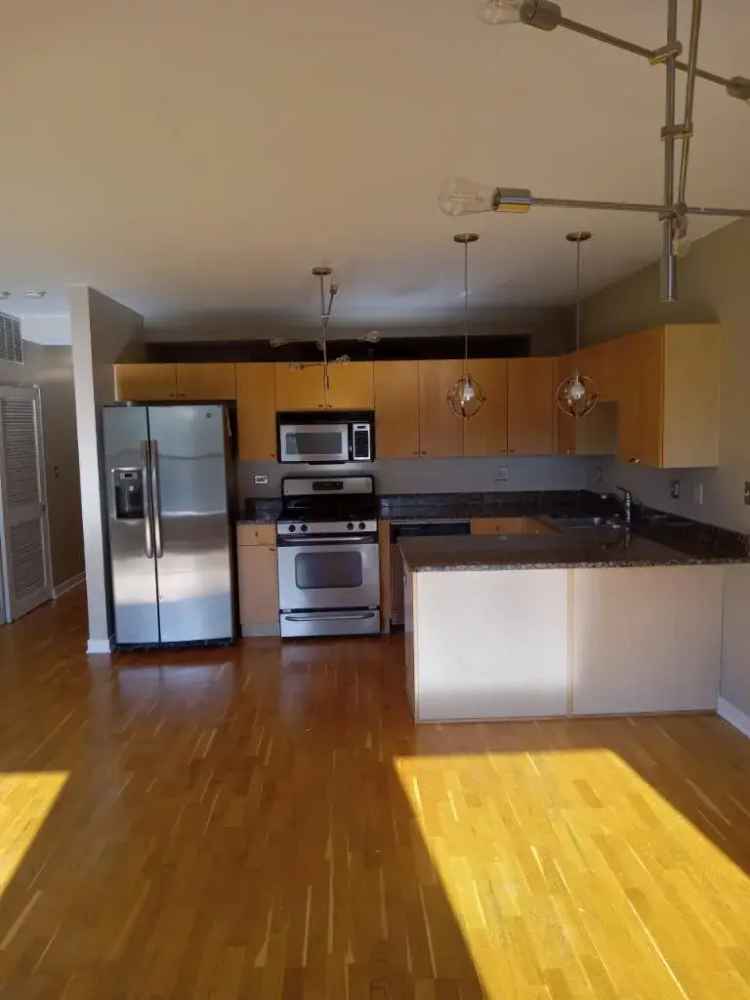 Luxury 2 Bedroom Apartment for Rent in Bronzeville with Modern Upgrades