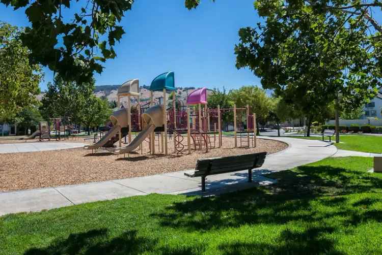 Rent Apartments in San Jose CA with Modern Amenities and Park Access