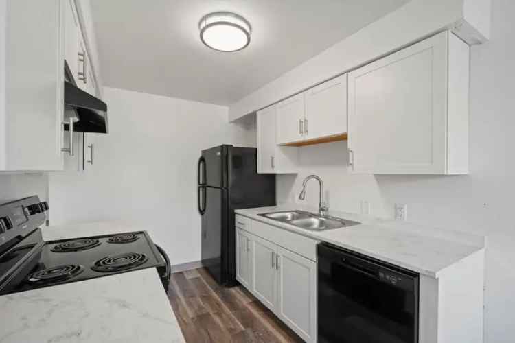 Rent Apartments in Park Ridge with Classic and Renovated Options