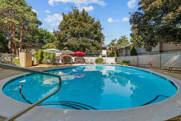 Rent Apartments in Curtis Meadow with Stylish Quality and Pool Access