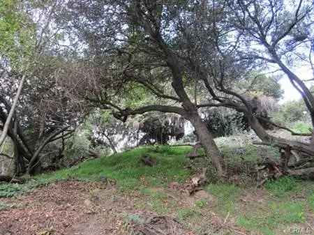 Land For Sale in 1531, Cliff Drive, Los Angeles, California