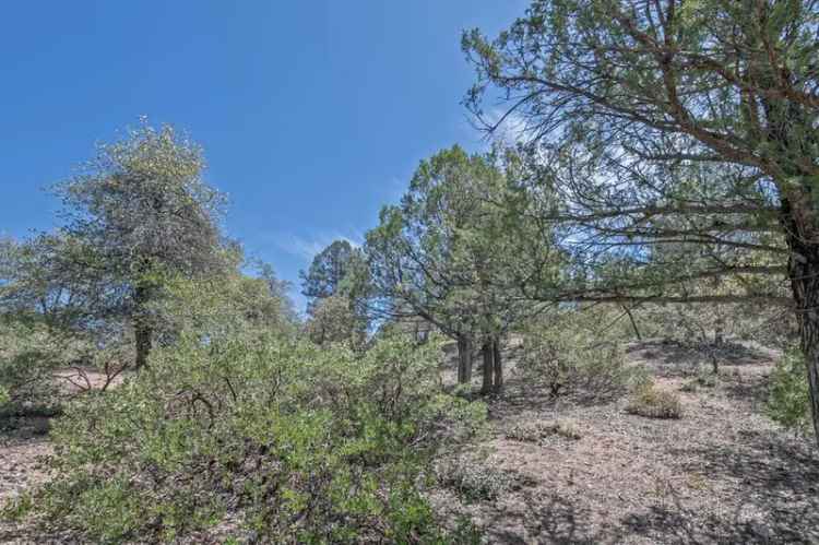 Land For Sale in 116, South Crescent Moon, Payson, Arizona