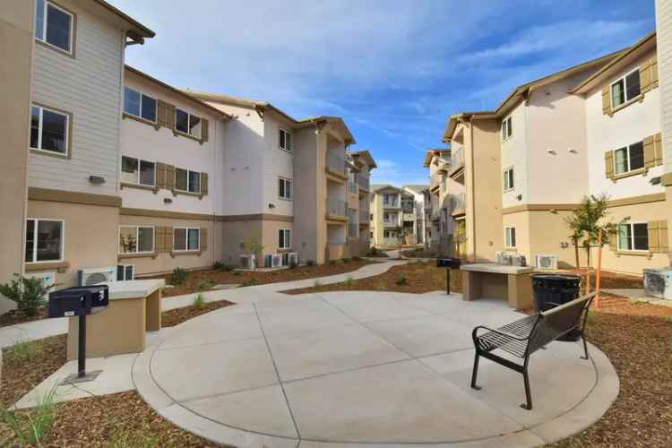 Rent Apartments in a Brand New Community with Affordable Rates