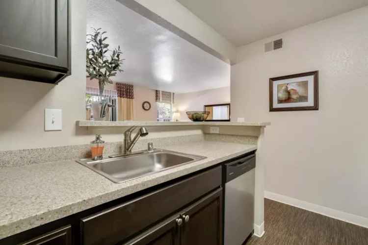 Rent Apartments in San Ramon with Luxurious Amenities and Great Location