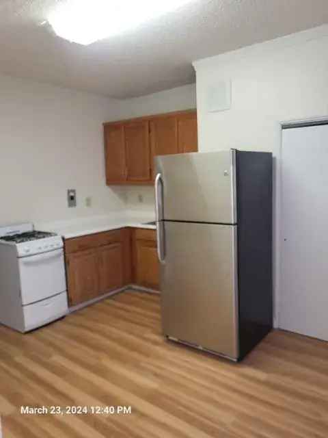 Rent One Bedroom Apartment in North Beacon Hill Seattle with Convenient Features