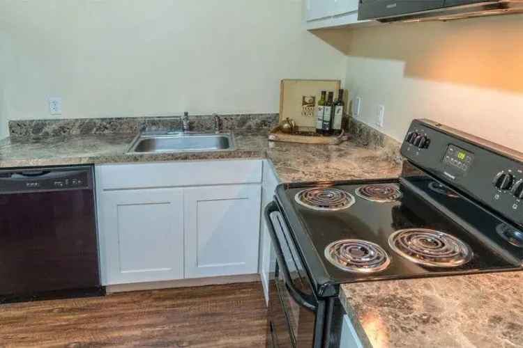 Rent Spacious Apartment Unit Near UNT Denton With Modern Amenities