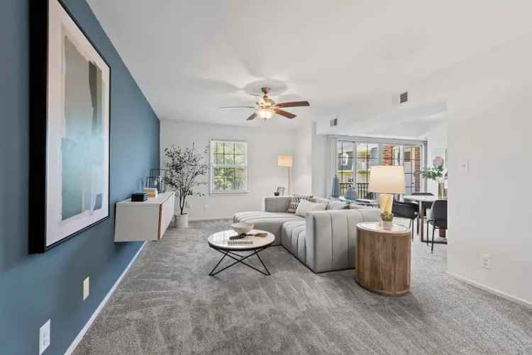 Rent Apartments in Towson MD with Resort Style Amenities and Pet Friendly