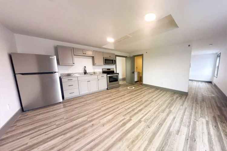 Rent Unique Loft Apartment in Johnson City with Modern Amenities