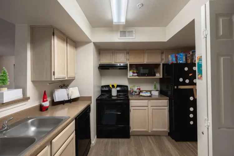 Rent Apartments in College Station with Luxury Amenities for Students