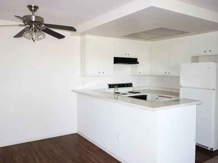 Rent Apartments in Oceanside with Modern Lifestyle Features