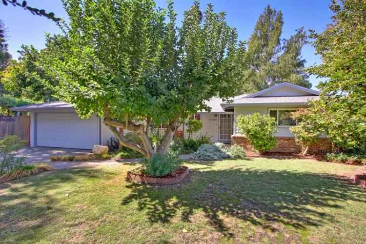 Buy House in South Land Park Terrace with Modern Updates and Backyard Oasis