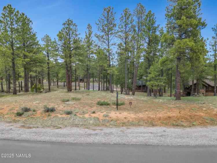 Build Your Dream Home on 0.35 Acre Homesite in Pine Canyon