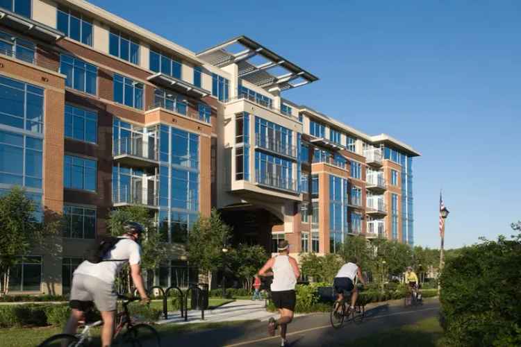 Rent Spacious Apartments in Arlington County with Great Amenities