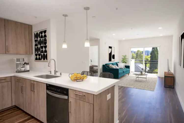 Rent Modern Apartments in Downtown San Jose with Urban Features