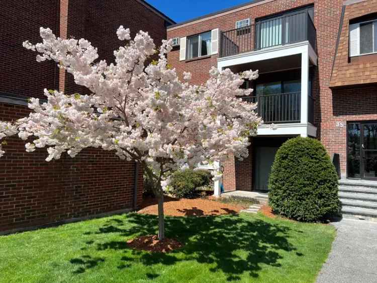 Rent Spacious Apartments in Norwood with Modern Features and Gated Access