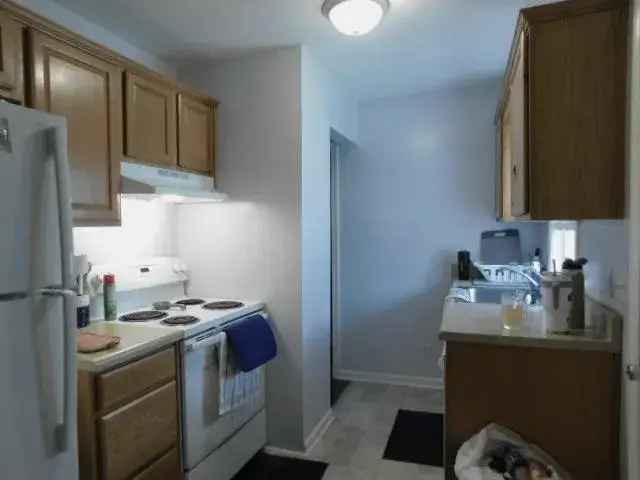 Rent Cute Apartment Unit with Meticulous Finishing and Updates