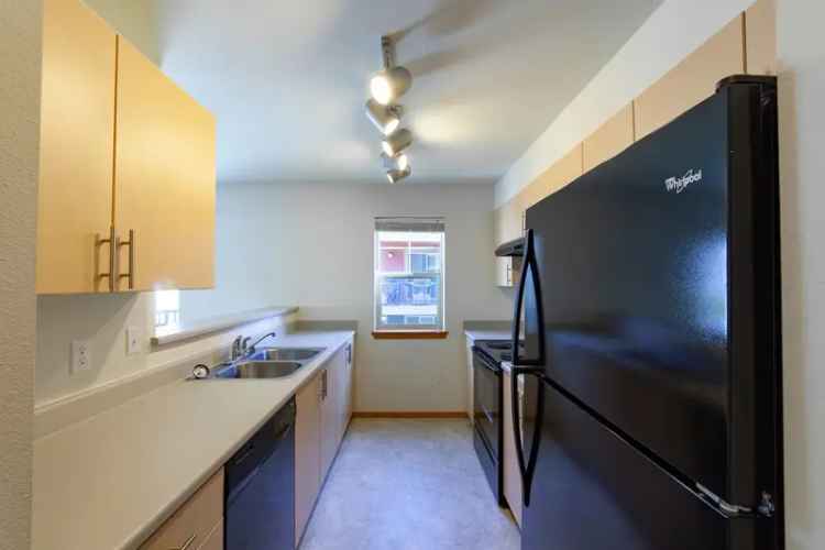 Rent Apartments with Spacious Floor Plans and Great Amenities