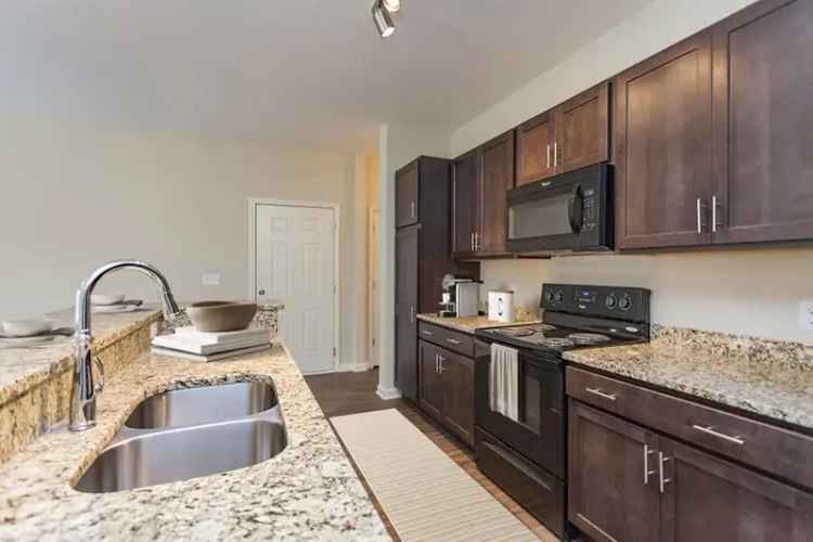 Rent Apartments in Madison with Luxury Living and Pet Friendly Options