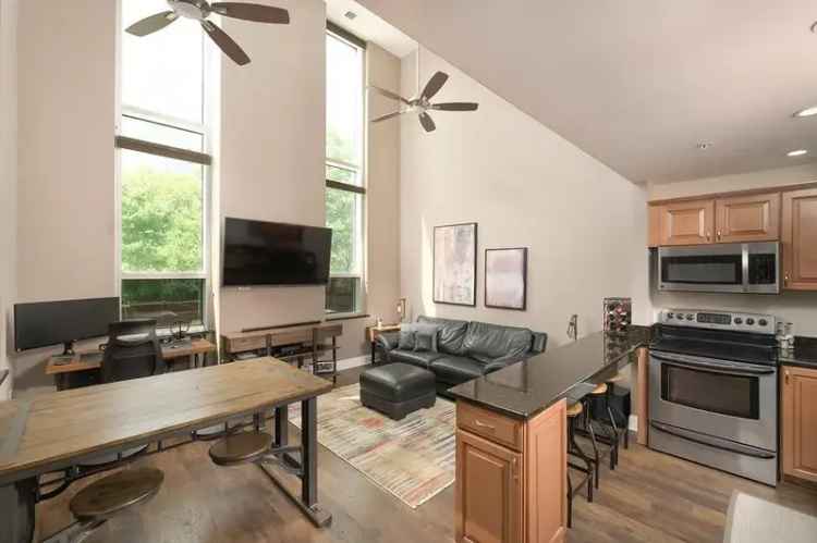 Luxury Apartment for Rent in Museum Bluffs Riverside with Scenic Views