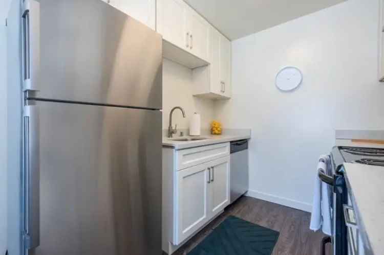 Rent Pet Friendly Apartments Near Mount Diablo