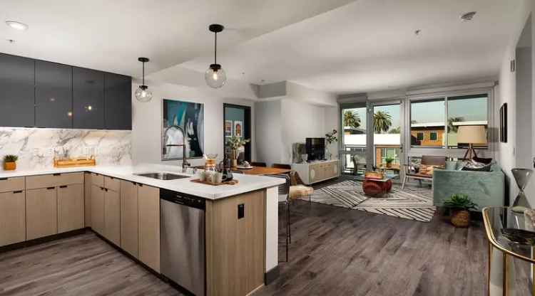 Rent Apartments at Haven Apartments in Culver City with Pet Friendly Options