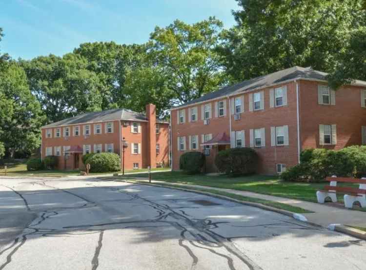 Rent Spacious Apartments in Phoenixville with Cat-Friendly Features