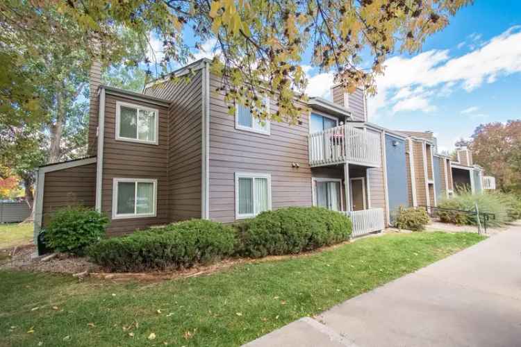 Rent Alpine Apartments Near CSU Campus with Shopping Nearby