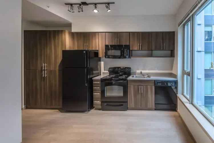 Rent Studio or One Bedroom Apartment in South Lake Union with Great Amenities