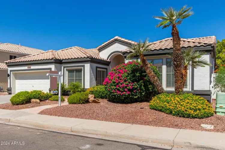 Luxury remodel buy home in Chandler with pool and landscaped yard