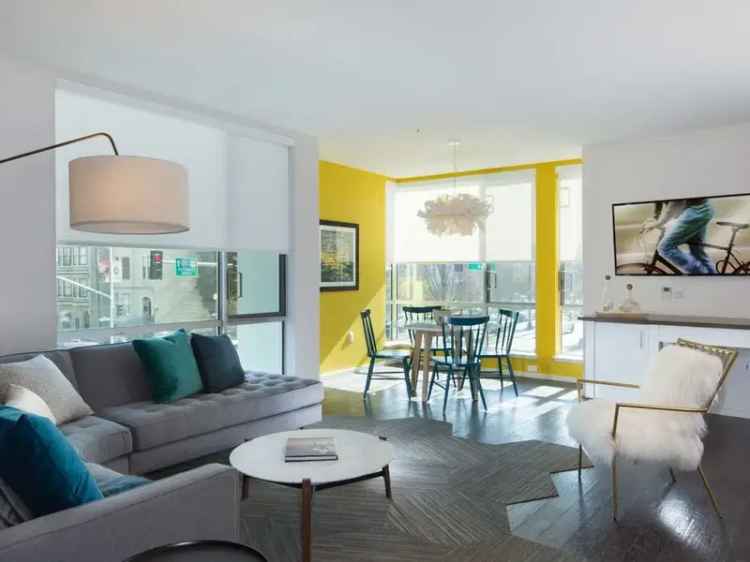 Rent Apartments in San Francisco with Modern Amenities and Rooftop Terraces