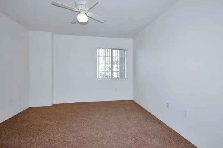 Rent Two and Three Bedroom Apartments with Great Amenities