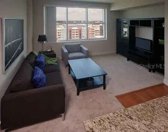 Rent Luxury Apartment Unit in Downtown Tampa with Spectacular Views