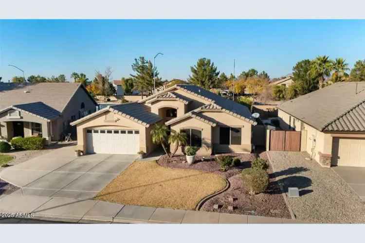 Buy Stunning 4 Bedroom House in Mesa with Heated Pool and Backyard Oasis