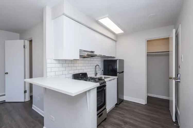 Rent Studio Apartments in Capitol Hill Denver with Pet-Friendly Features