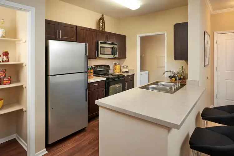 Rent Family Pet Friendly Apartments in Aurora CO with Unique Features