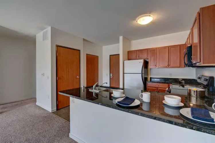 Rent Apartments in Milwaukee with Pet Friendly Options and Great Amenities