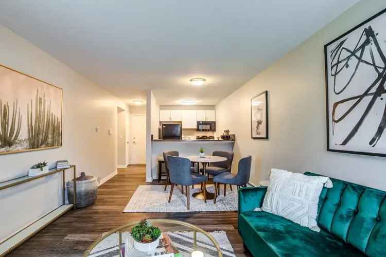 Rent Spacious Apartments Near Colorado State University with Great Amenities