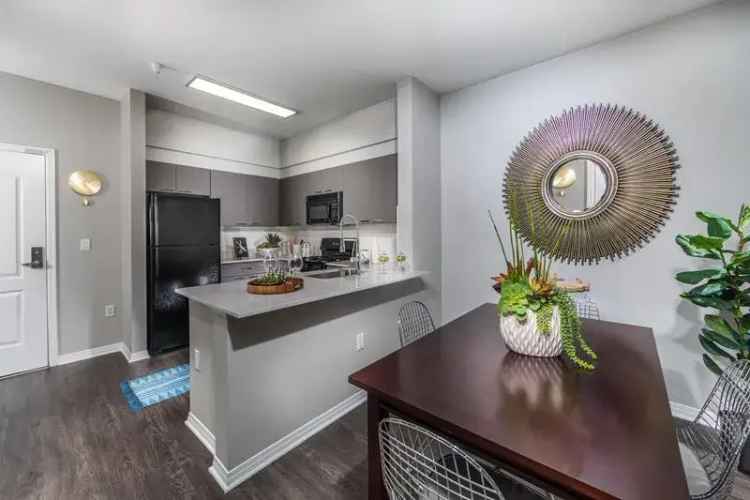 Luxury Apartments for Rent in North Hollywood with Modern Amenities