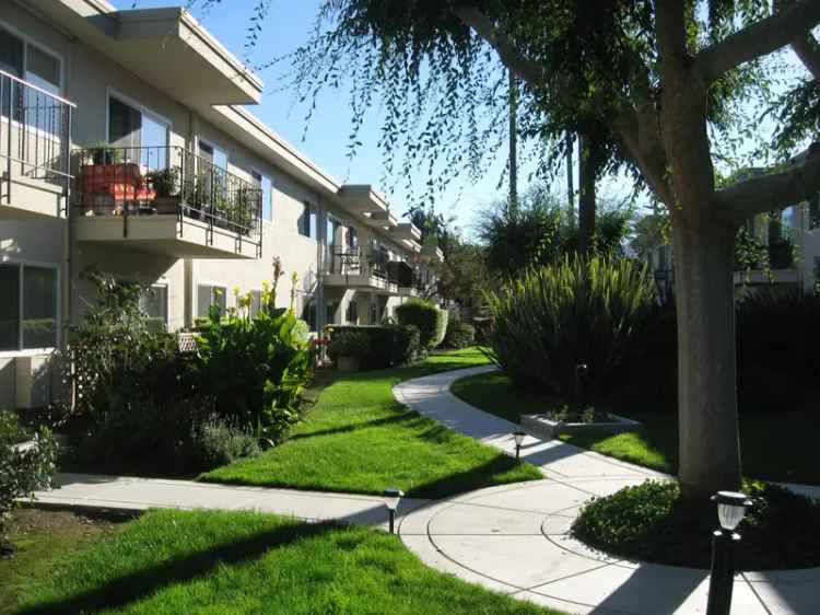 Rent Spacious Apartments in Mountain View with Private Patios and Pool