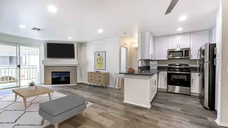 Luxury 2 Bedroom Apartments for Rent in Mission Valley with Modern Amenities