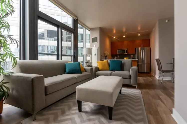 Rent Apartments in Chicago with Rooftop Views and Amenities