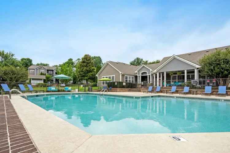 Rent Apartments in Columbia with Outdoor Access and Pet-Friendly Options