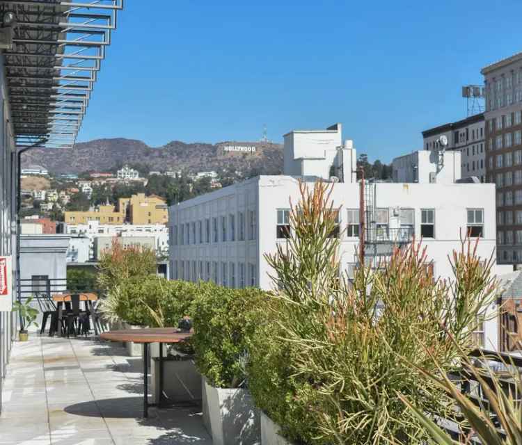 Rent Loft Apartments in Hollywood with Rooftop Lounge and Great Views