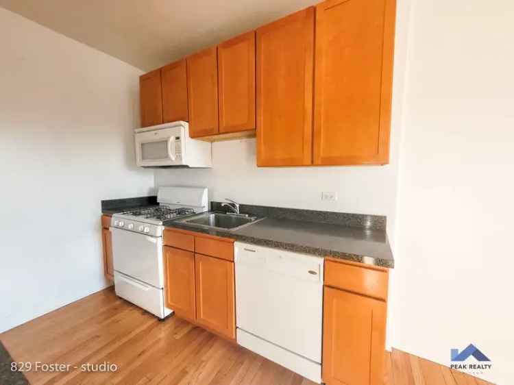 Rent Apartments in Evanston with Studio and 1 Bedroom Options