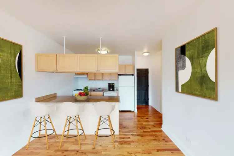 Rent Apartments in Hyde Park with Modern Amenities and Maintenance Services