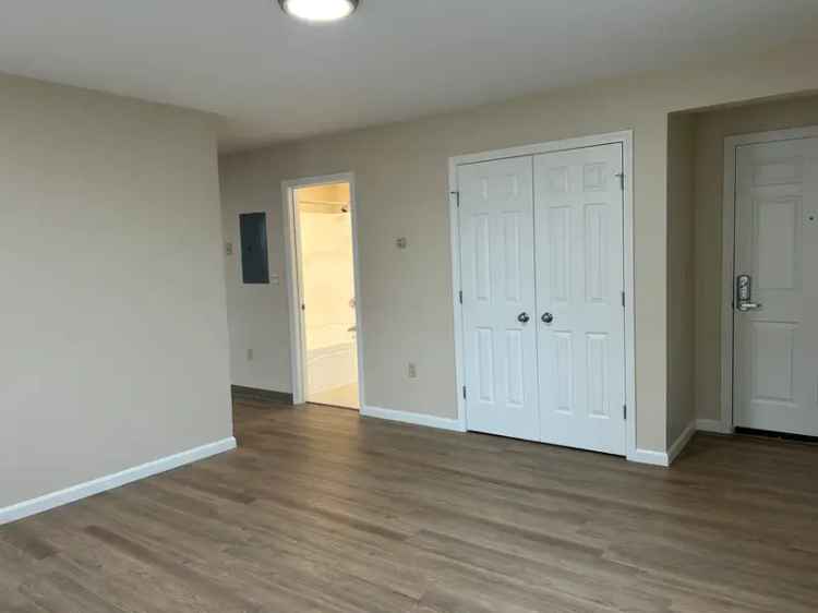 Rent Spacious 3 Bedroom Apartment Unit in Cherry St With Renovated Features