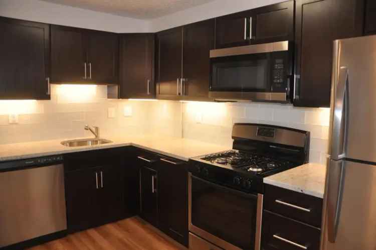 Spacious 1 Bedroom Apartment for Rent in Arlington with Modern Finishes