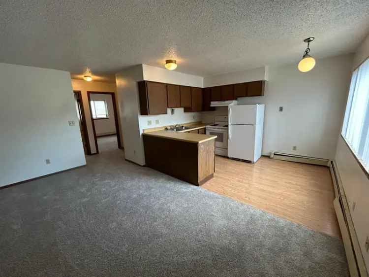 Rent apartments in downtown Iowa City with spacious layout and amenities