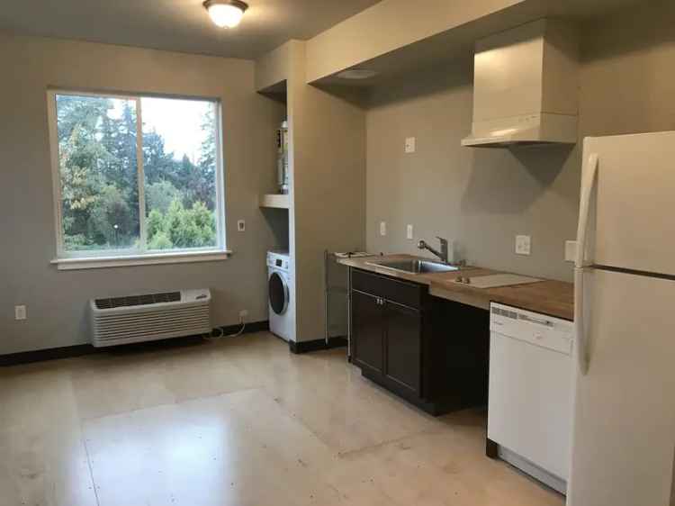 Rent Contemporary Studio Apartment in Bellingham WA with Modern Amenities